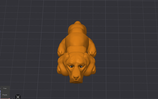 Vizsla Dog