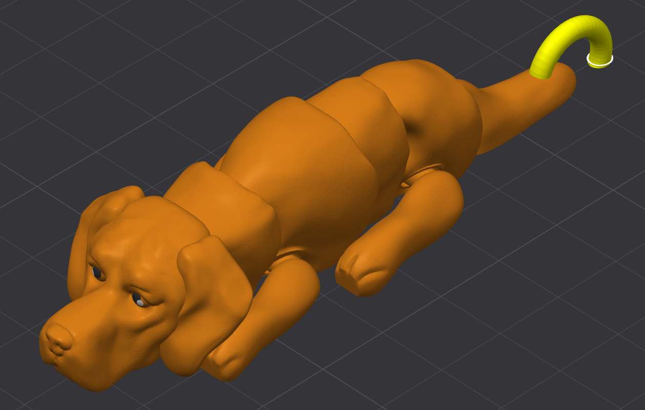 Vizsla Dog