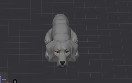 Weimaraner Dog