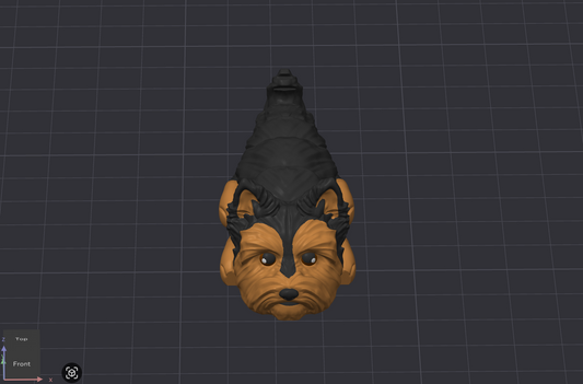 Yorkshire Terrier Dog