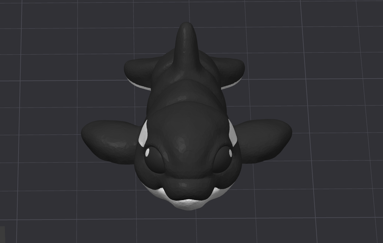 Orca Dolphin