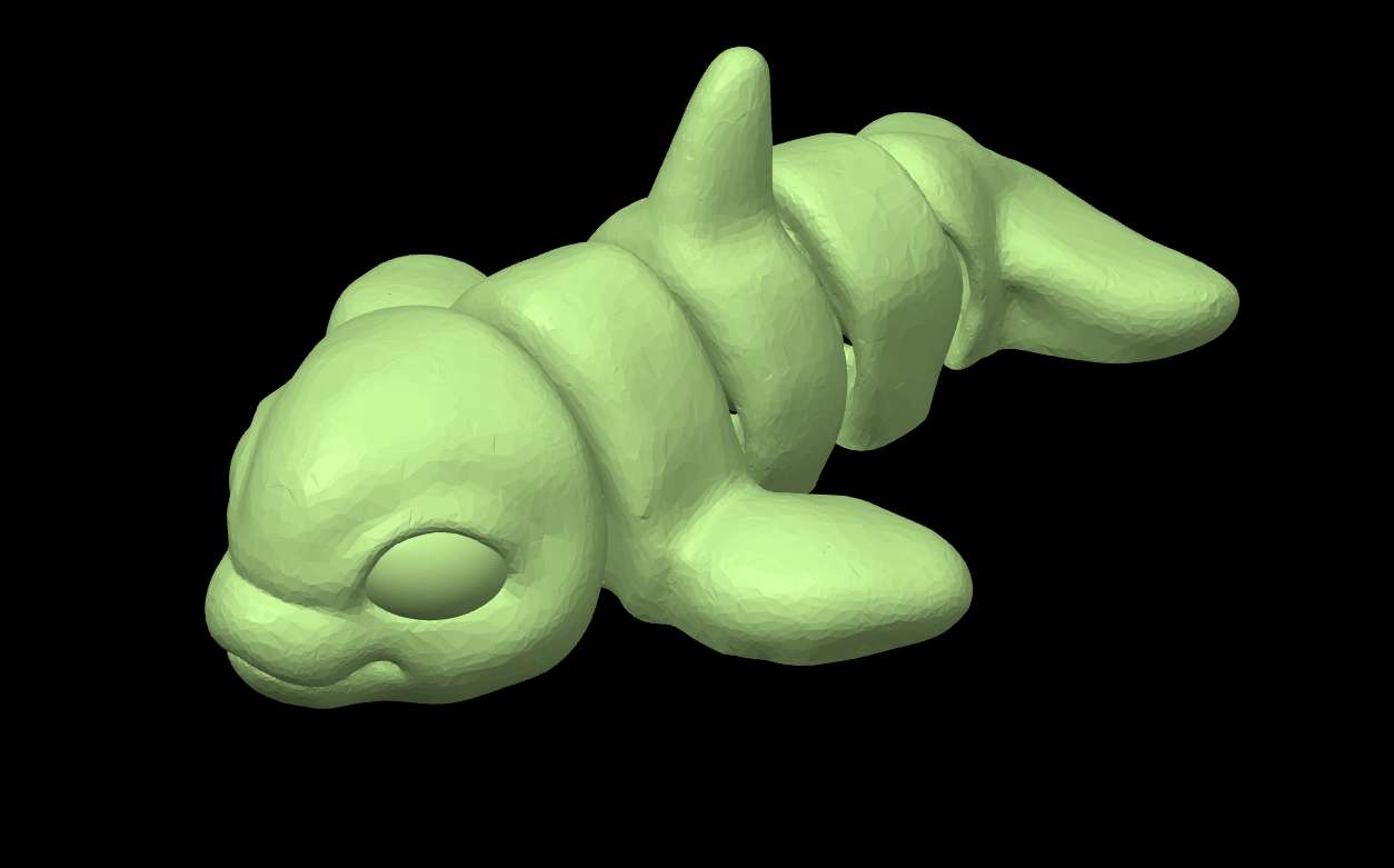 Orca Dolphin