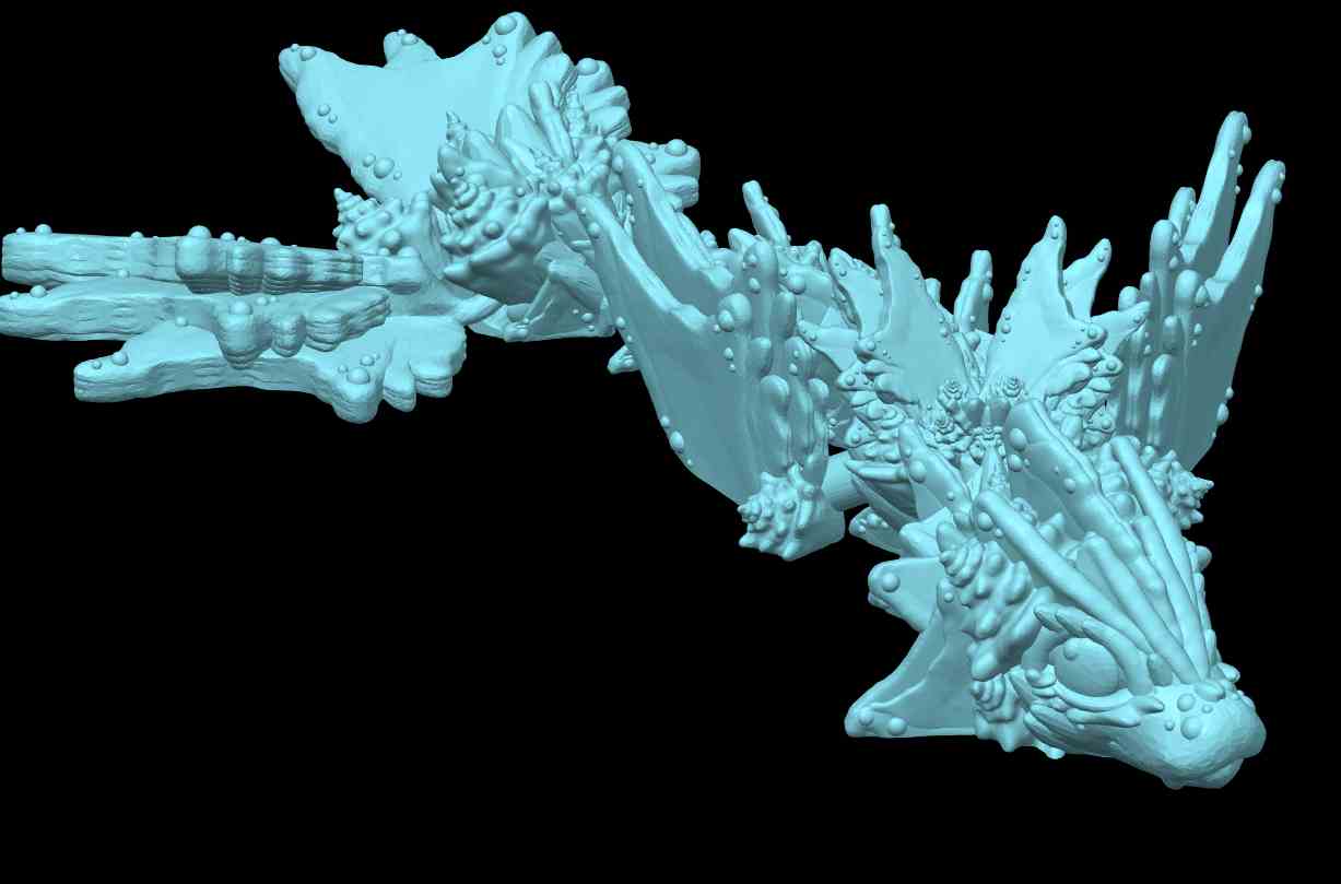 Ocean Dragon