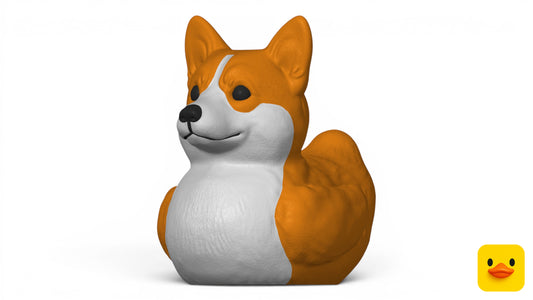 Corgi Duck