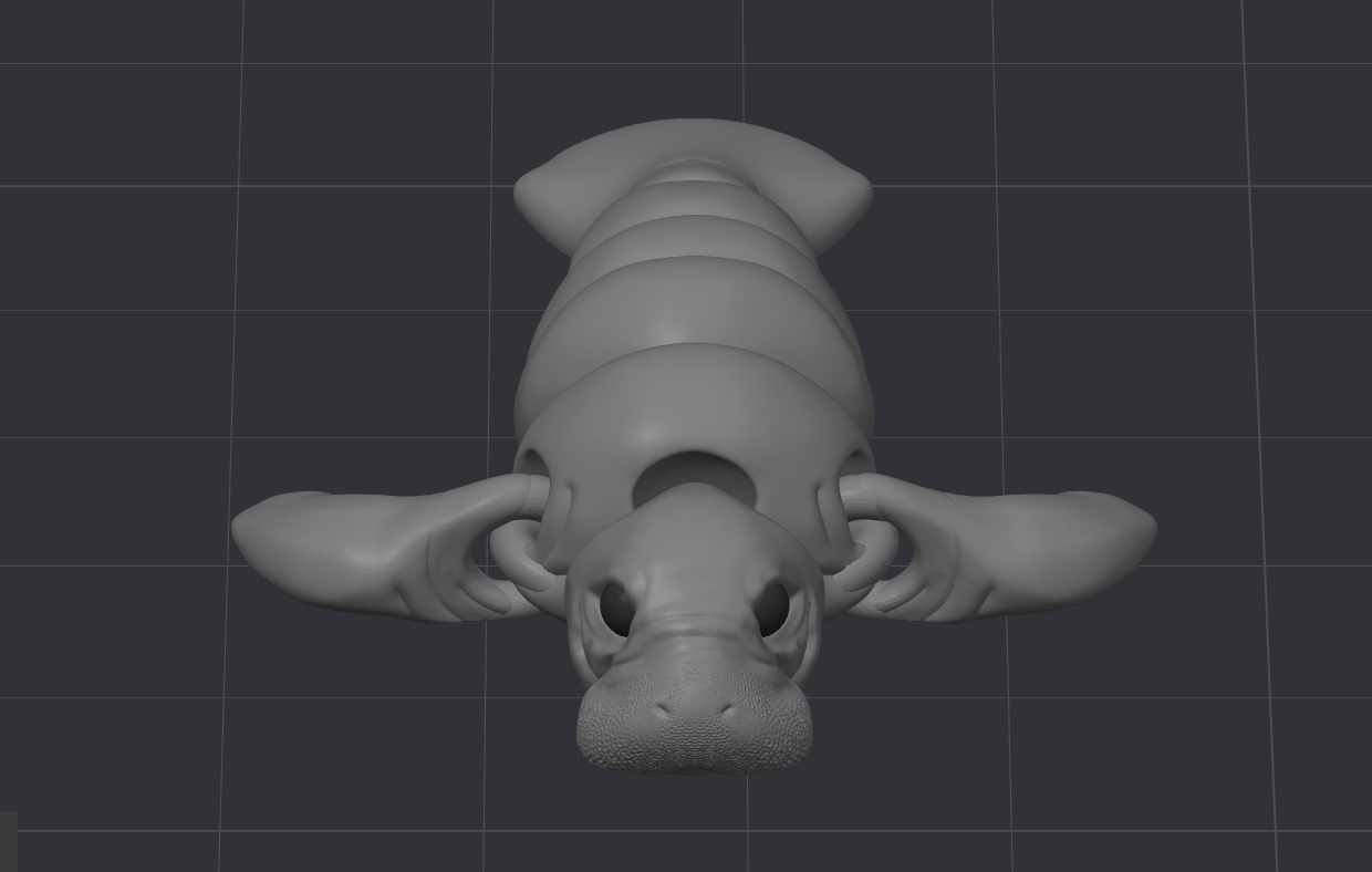 Nano Manatee