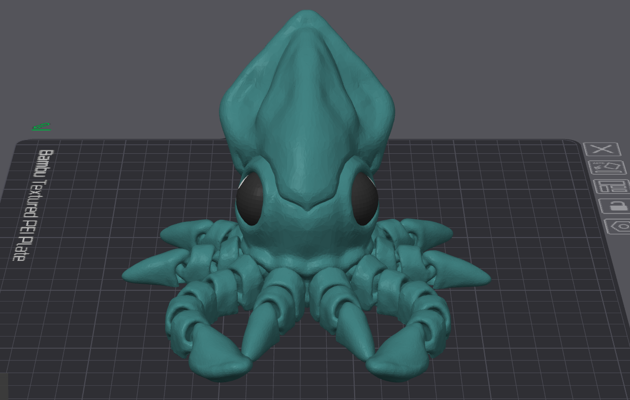 Squid Octopuse