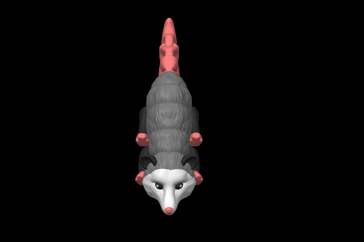 Classic Opossum