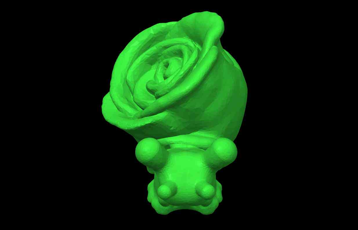 Rose Snail