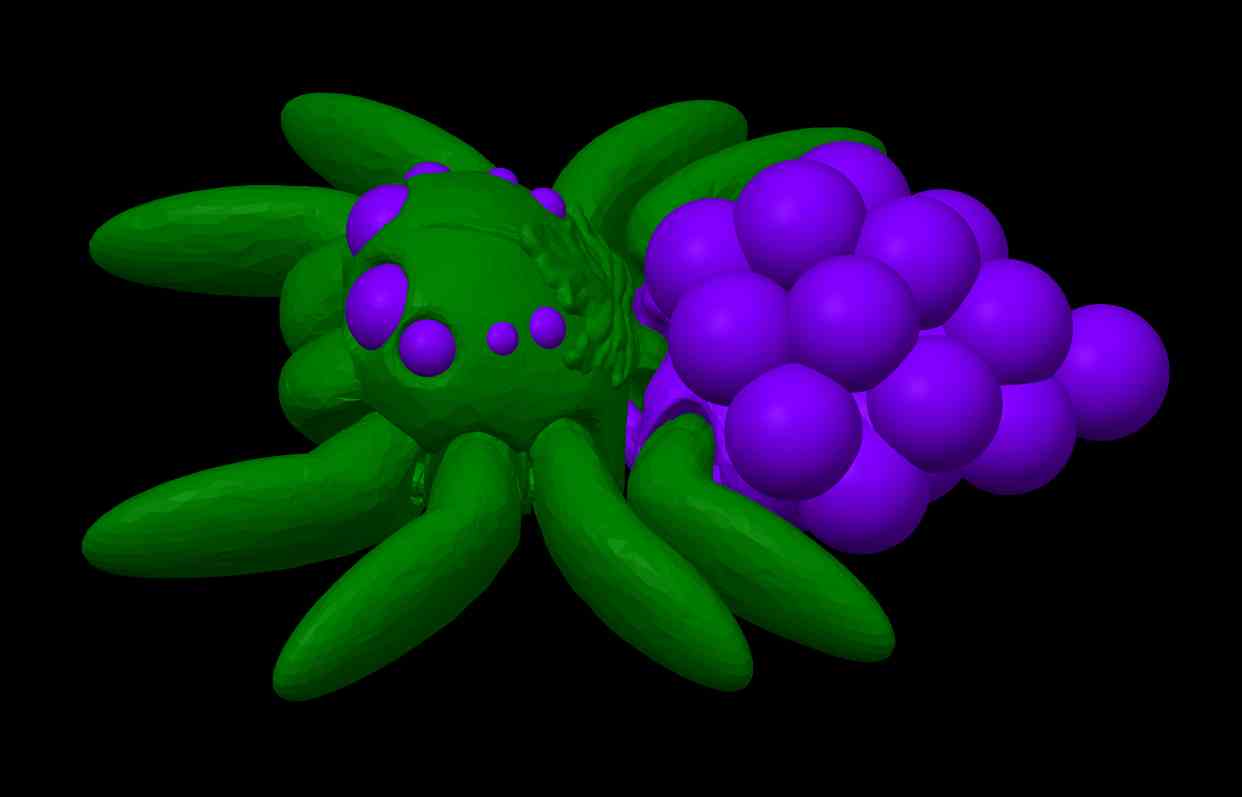 Fruit Grape Spider