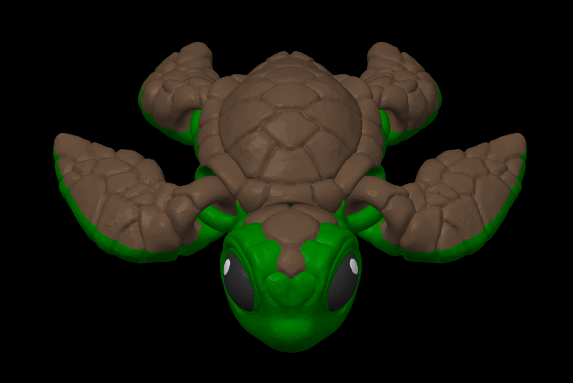 Sea Turtle