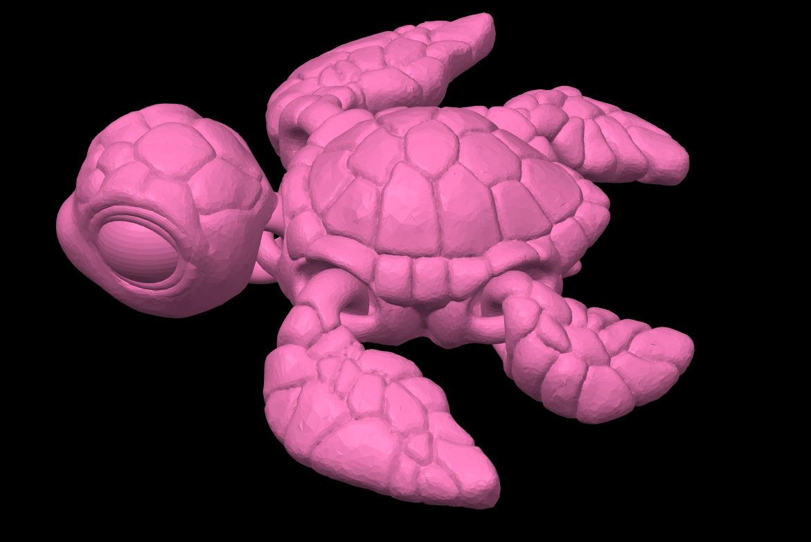 Sea Turtle